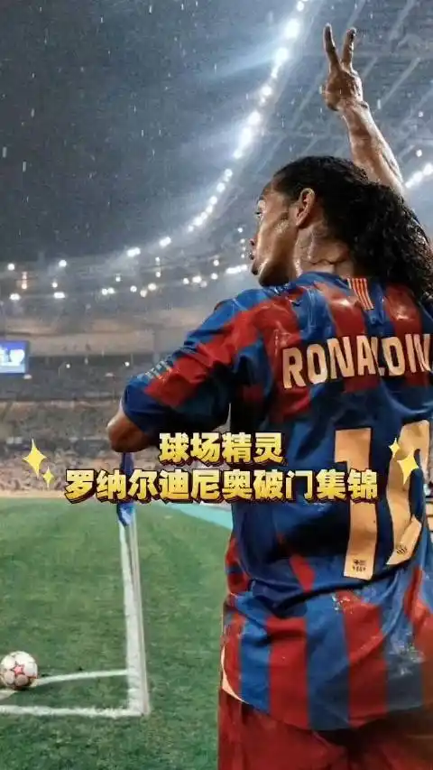他的组织能